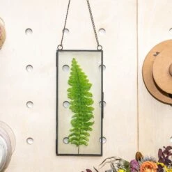 Hanging 4x9 Inches Black Long Herbarium Painted Brass Glass Frame For Pressed Flowers Dried Flowers 13 Hanging 4x9 Inches Black Long Herbarium Painted Brass Glass Frame For Pressed Flowers Dried Flowers -Glass Plant Store 02349