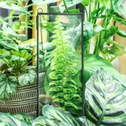 Hanging 4x9 Inches Black Long Herbarium Painted Brass Glass Frame For Pressed Flowers Dried Flowers