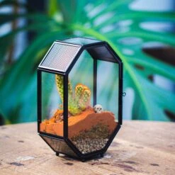 Mini 5x7 Inches Octagon Shape Glass Geometric Terrarium Enclosure With Side Vent For Small Insect, Jumping Spider