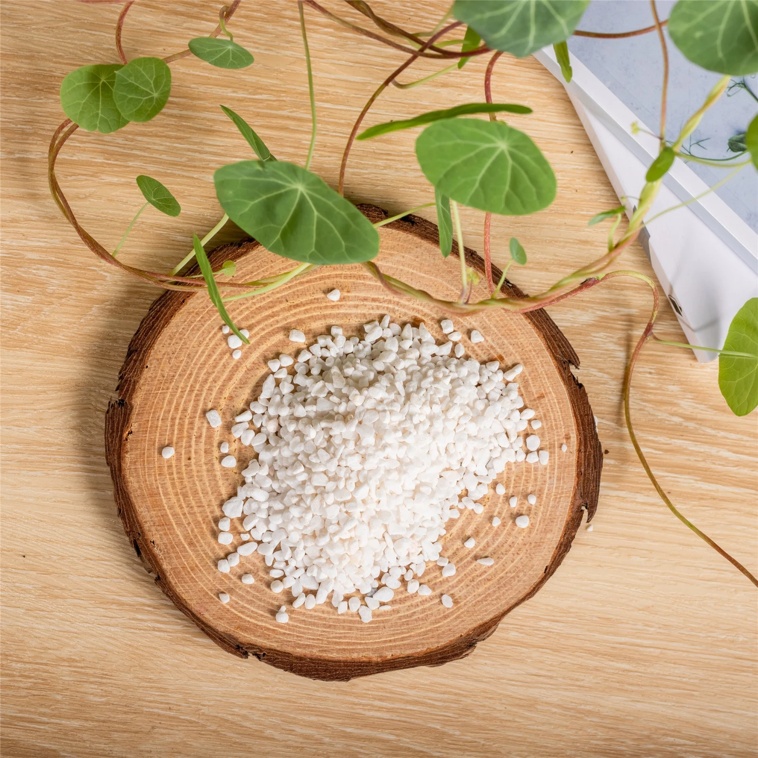 Decorative White Pebble Rocks For Succulents Top Dressing, For Terrarium, Fairy Gardening 5 Decorative White Pebble Rocks For Succulents Top Dressing, For Terrarium, Fairy Gardening - Image 5