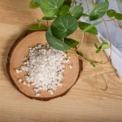 Decorative White Pebble Rocks For Succulents Top Dressing, For Terrarium, Fairy Gardening 12 Decorative White Pebble Rocks For Succulents Top Dressing, For Terrarium, Fairy Gardening -Glass Plant Store 1992