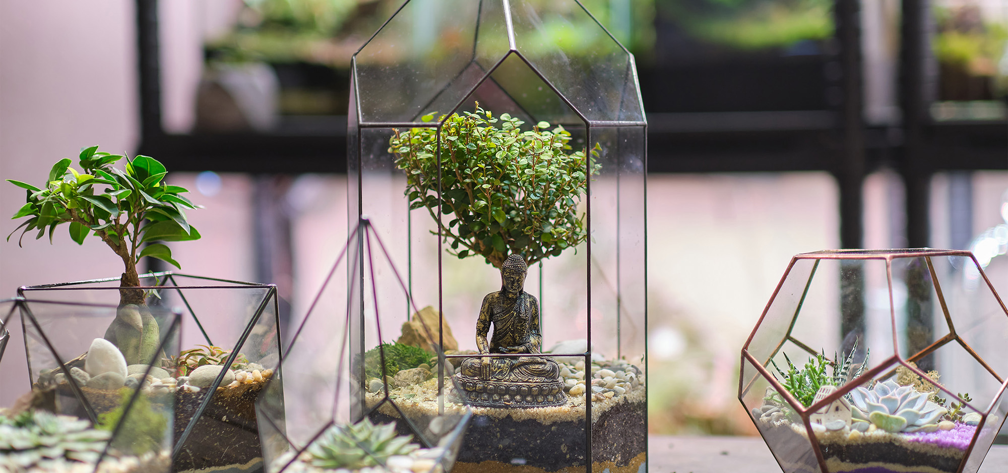 Glass Plant Store -Glass Plant Store 2