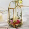 Handmade 25cm Irregular Tall Open Glass Geometric Terrarium Container For Succulents Wedding