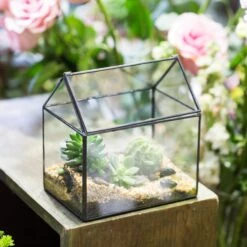 NCYP Vintage House Geometric Terrarium Tin Sealed Chest Planter Succulent Centerpiece Wedding -Glass Plant Store 20150620005 10