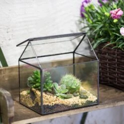 NCYP Vintage House Geometric Terrarium Tin Sealed Chest Planter Succulent Centerpiece Wedding -Glass Plant Store 20150620005 8