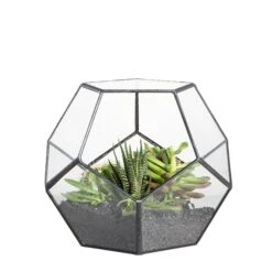 Handmade Silver Black Various Size Pentagon Glass Geometric Terrarium For Succulents Airplants Cacti -Glass Plant Store 20150713033S 4 5bf147c8 784e 439b a57b ad4761e39de7