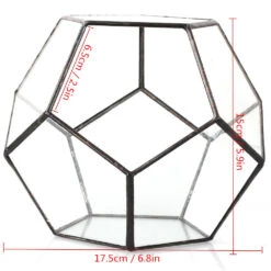 Handmade Silver Black Various Size Pentagon Glass Geometric Terrarium For Succulents Airplants Cacti -Glass Plant Store 20150713033 7