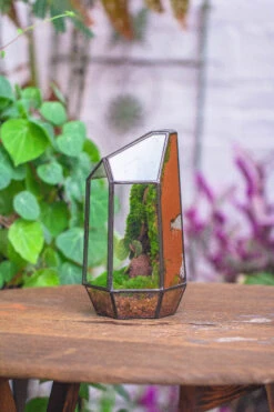 Rain Forest Sticky Red Clay For DIY Moss Wall, Plant Moss / Plants On The Wall, Vertical Landscape, Vivarium, Terrarium 22 Rain Forest Sticky Red Clay For DIY Moss Wall, Plant Moss / Plants On The Wall, Vertical Landscape, Vivarium, Terrarium -Glass Plant Store 20160218002 25