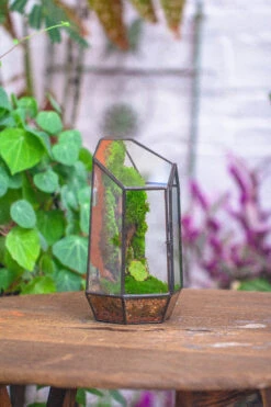 Rain Forest Sticky Red Clay For DIY Moss Wall, Plant Moss / Plants On The Wall, Vertical Landscape, Vivarium, Terrarium 23 Rain Forest Sticky Red Clay For DIY Moss Wall, Plant Moss / Plants On The Wall, Vertical Landscape, Vivarium, Terrarium -Glass Plant Store 20160218002 27