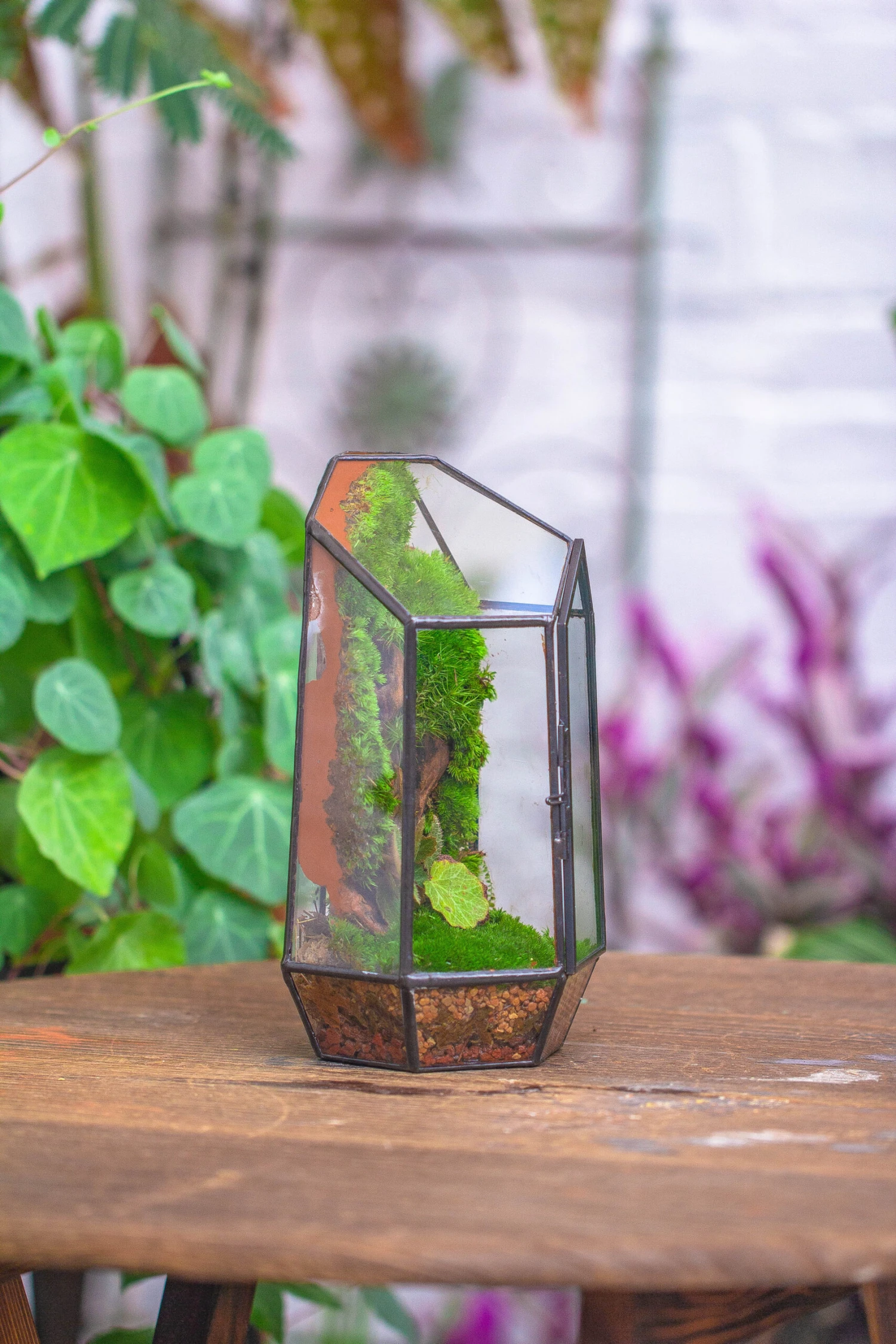 Rain Forest Sticky Red Clay For DIY Moss Wall, Plant Moss / Plants On The Wall, Vertical Landscape, Vivarium, Terrarium 12 Rain Forest Sticky Red Clay For DIY Moss Wall, Plant Moss / Plants On The Wall, Vertical Landscape, Vivarium, Terrarium - Image 12