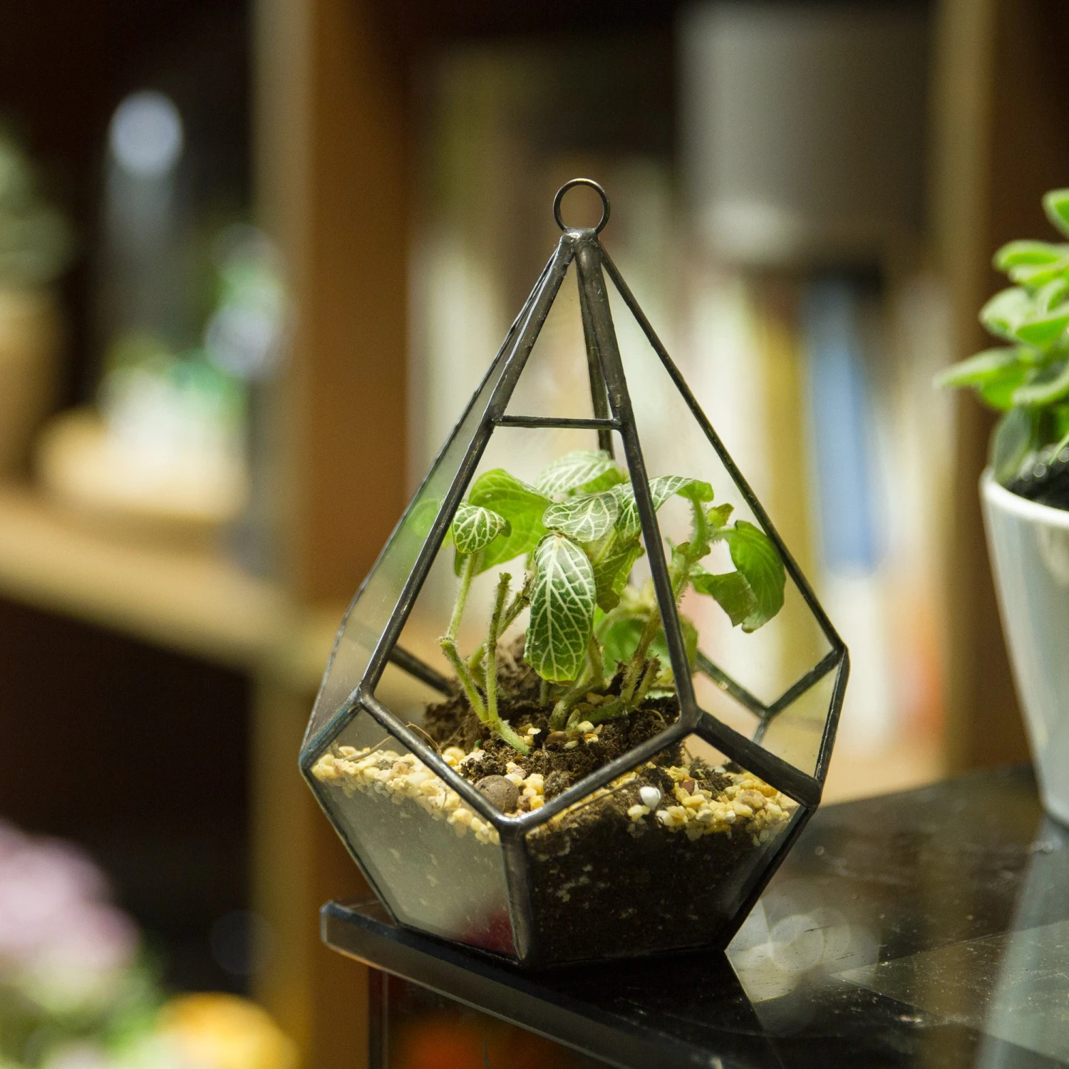 Handmade Artistic Hanging Glass Teardrop Diamond Geometric Terrarium With Loop For Succulent Moss 9 Handmade Artistic Hanging Glass Teardrop Diamond Geometric Terrarium With Loop For Succulent Moss - Image 9