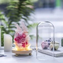 Glass Dome With LED Light Wood Base Cloche Bell For Rose Model Figurine Flowers Centerpiece -Glass Plant Store 20190227003 12