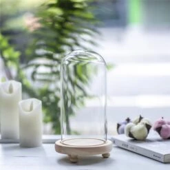 Glass Dome With LED Light Wood Base Cloche Bell For Rose Model Figurine Flowers Centerpiece -Glass Plant Store 20190227003 7
