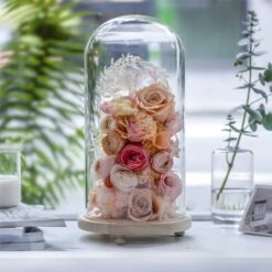 Handmade Glass Dome With LED Light Wood Base Cloche Bell Round For Rose Model Figurine Flowers -Glass Plant Store 20190227011 13