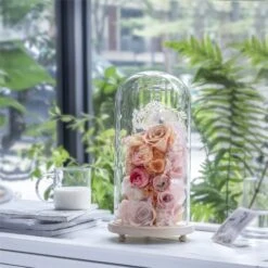 Handmade Glass Dome With LED Light Wood Base Cloche Bell Round For Rose Model Figurine Flowers -Glass Plant Store 20190227011 5