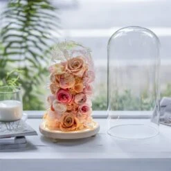 Handmade Glass Dome With LED Light Wood Base Cloche Bell Round For Rose Model Figurine Flowers -Glass Plant Store 20190227011 6