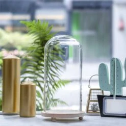 Handmade Glass Dome With LED Light Wood Base Cloche Bell Round For Rose Model Figurine Flowers -Glass Plant Store 20190227011 9