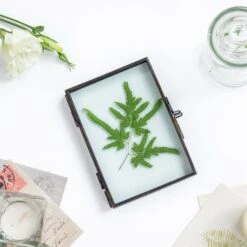 Handmade Brass Black Folding Screen Type Float Frame Specimen Card Holder 2-Folded 3.5X5" -Glass Plant Store 20190315008 5