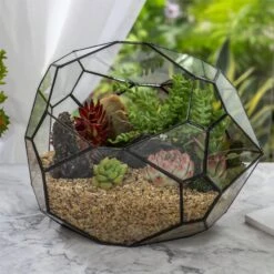 NCYP Irregular Open Geometric Glass Terrarium Bubble Shape For Succulents Landscape Bonsai 10 NCYP Irregular Open Geometric Glass Terrarium Bubble Shape For Succulents Landscape Bonsai -Glass Plant Store 20190418001 4
