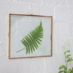 Handmade Copper Brass Wall Glass Frame With Hanging Stand Hook For Dried Flowers Specimen Clip -Glass Plant Store 20190619001 5 1