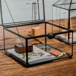 Glass Plant Store -Glass Plant Store 20190717001 4