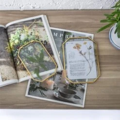 Wall Hanging Long Octagon Herbarium Brass Glass Frame For Pressed Flowers Dried Floating Frame -Glass Plant Store 20190905002 6