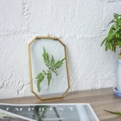 Wall Hanging Long Octagon Herbarium Brass Glass Frame For Pressed Flowers Dried Floating Frame -Glass Plant Store 20190905003 6