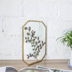 Wall Hanging Long Octagon Herbarium Brass Glass Frame For Pressed Flowers Dried Floating Frame -Glass Plant Store 20190905004 1