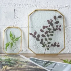 Wall Hanging Long Octagon Herbarium Brass Glass Frame For Pressed Flowers Dried Floating Frame -Glass Plant Store 20190905004 5