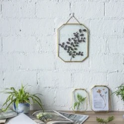 Wall Hanging Long Octagon Herbarium Brass Glass Frame For Pressed Flowers Dried Floating Frame -Glass Plant Store 20190905004 6