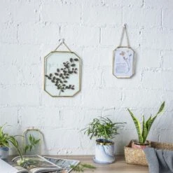 Wall Hanging Long Octagon Herbarium Brass Glass Frame For Pressed Flowers Dried Floating Frame -Glass Plant Store 20190905004 8