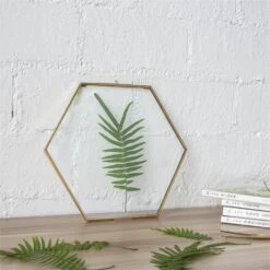Hanging Hexagon Herbarium Brass Glass Frame For Pressed Flowers Dried Flowers Floating Frame -Glass Plant Store 20190905006 2