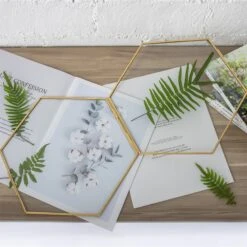 Hanging Hexagon Herbarium Brass Glass Frame For Pressed Flowers Dried Flowers Floating Frame -Glass Plant Store 20190905006 4