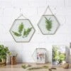Hanging Hexagon Herbarium Brass Glass Frame For Pressed Flowers Dried Flowers Floating Frame