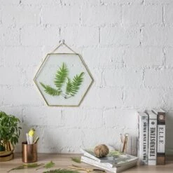 Hanging Hexagon Herbarium Brass Glass Frame For Pressed Flowers Dried Flowers Floating Frame -Glass Plant Store 20190905007 5