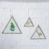 Hanging Triangle Herbarium Brass Glass Frame For Pressed Flowers Dried Flowers Poster