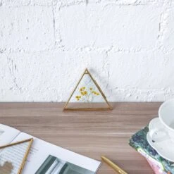Hanging Triangle Herbarium Brass Glass Frame For Pressed Flowers Dried Flowers Poster 19 Hanging Triangle Herbarium Brass Glass Frame For Pressed Flowers Dried Flowers Poster -Glass Plant Store 20190905008 8 b65c27a7 2753 4eb9 ba9f d5c858f789a3