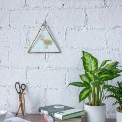 Hanging Triangle Herbarium Brass Glass Frame For Pressed Flowers Dried Flowers Poster 22 Hanging Triangle Herbarium Brass Glass Frame For Pressed Flowers Dried Flowers Poster -Glass Plant Store 20190905009 3