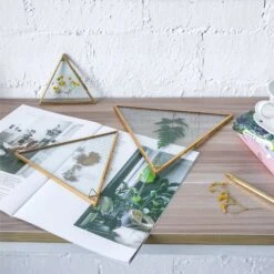 Hanging Triangle Herbarium Brass Glass Frame For Pressed Flowers Dried Flowers Poster 29 Hanging Triangle Herbarium Brass Glass Frame For Pressed Flowers Dried Flowers Poster -Glass Plant Store 20190905010 4 3b7e1fbf fae6 45cc 96dc 90d8bc36f9ae