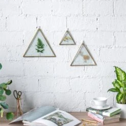 Hanging Triangle Herbarium Brass Glass Frame For Pressed Flowers Dried Flowers Poster 24 Hanging Triangle Herbarium Brass Glass Frame For Pressed Flowers Dried Flowers Poster -Glass Plant Store 20190905010 7