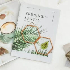 Hanging Small Pink Hexagon Herbarium Copper Glass Frame For Pressed Flowers Dried Flowers 13 Hanging Small Pink Hexagon Herbarium Copper Glass Frame For Pressed Flowers Dried Flowers -Glass Plant Store 20190905012 2