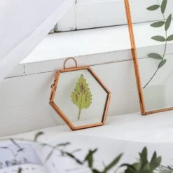 Hanging Small Pink Hexagon Herbarium Copper Glass Frame For Pressed Flowers Dried Flowers 16 Hanging Small Pink Hexagon Herbarium Copper Glass Frame For Pressed Flowers Dried Flowers -Glass Plant Store 20190905012 8