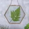 Hanging Hexagon Herbarium Copper Glass Frame For Pressed Flowers Dried Flowers Floating Frame