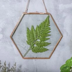 Hanging Hexagon Herbarium Copper Glass Frame For Pressed Flowers Dried Flowers Floating Frame
