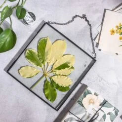 Handmade Black Large Wall Hanging Brass Glass Artwork Certificate Photo Display Floating Frame -Glass Plant Store 20200409024 3