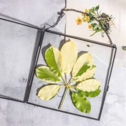 Handmade Black Large Wall Hanging Brass Glass Artwork Certificate Photo Display Floating Frame -Glass Plant Store 20200409024 4