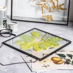 Handmade Black Large Wall Hanging Brass Glass Artwork Certificate Photo Display Floating Frame -Glass Plant Store 20200409024 6