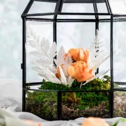 Preserved Pressed Flower Davallia Mariesii, Squirrel's Foot Fern Leaf , Multiple Color, 5 Pcs, 12inches Long, 8inches Width, DIY Material -Glass Plant Store 20200518022 2