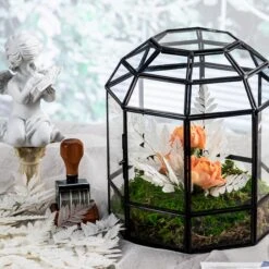 Preserved Pressed Flower Davallia Mariesii, Squirrel's Foot Fern Leaf , Multiple Color, 5 Pcs, 12inches Long, 8inches Width, DIY Material -Glass Plant Store 20200518022 4