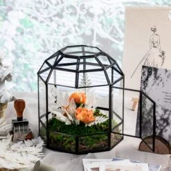 Preserved Pressed Flower Davallia Mariesii, Squirrel's Foot Fern Leaf , Multiple Color, 5 Pcs, 12inches Long, 8inches Width, DIY Material -Glass Plant Store 20200518022 5